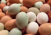 Eggs - One-Time Purchase for CSA subscribers
