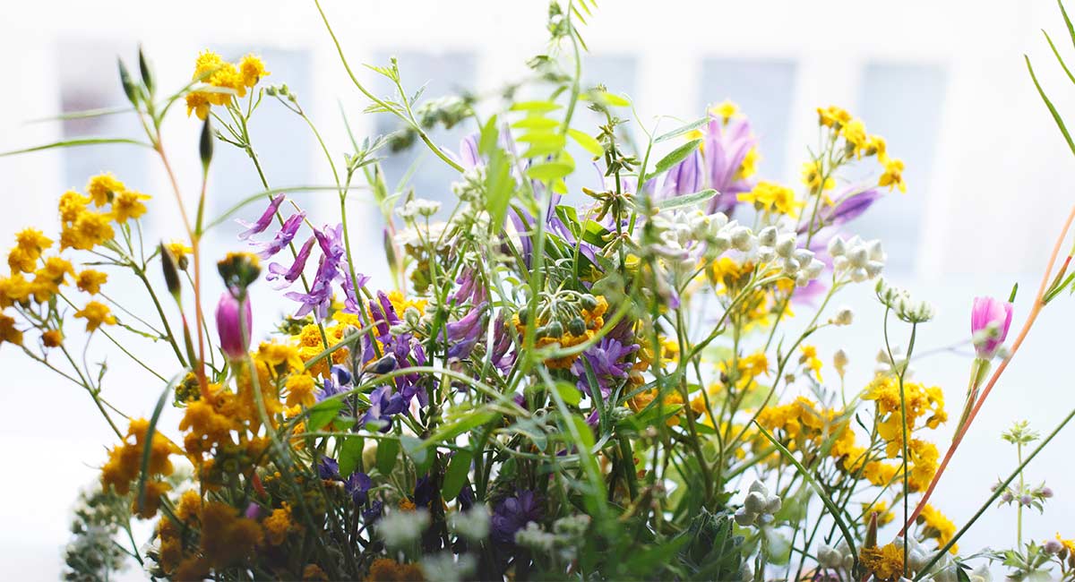 Pollinator Planters