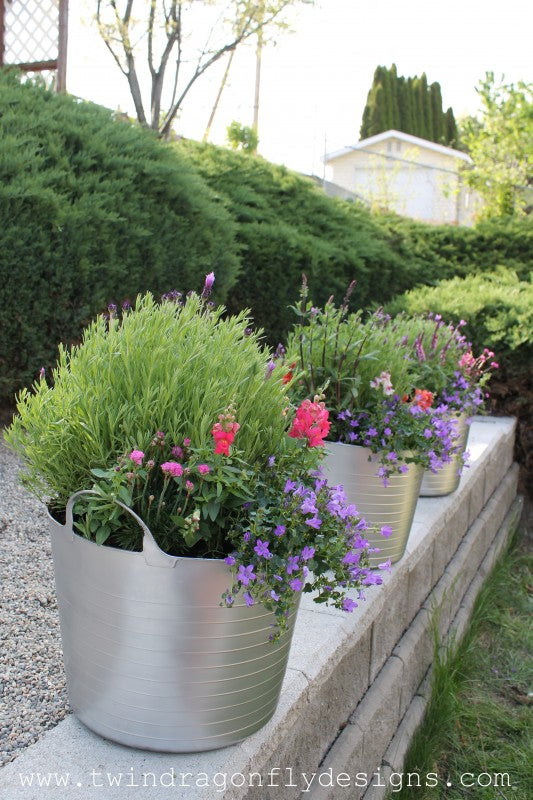 Pollinator Planters